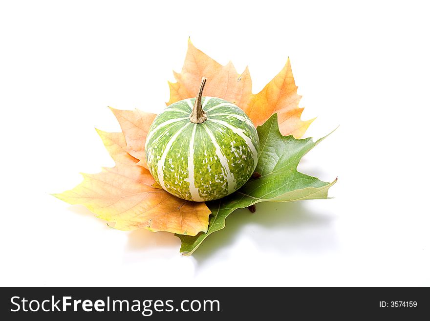 Autumn composition isolated on white