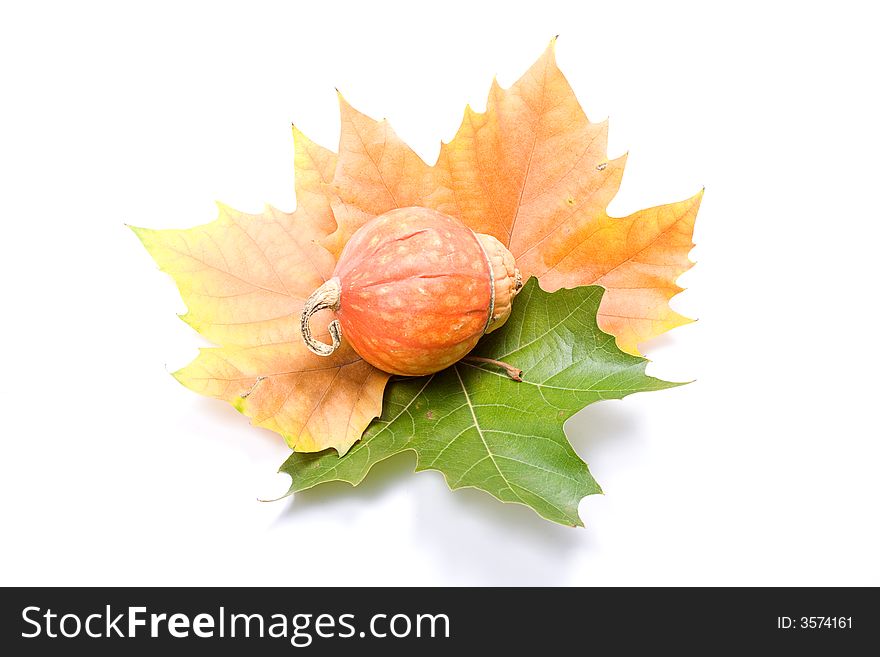 Autumn composition isolated on white