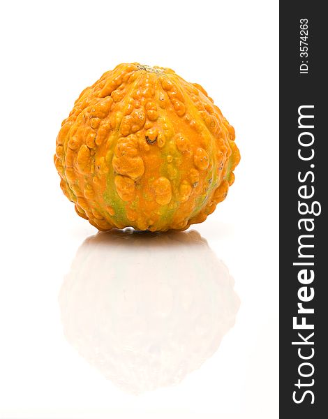 Pumpkin isolated closeup with reflection. Pumpkin isolated closeup with reflection