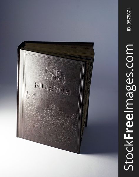 Close up of holly Koran. Close up of holly Koran