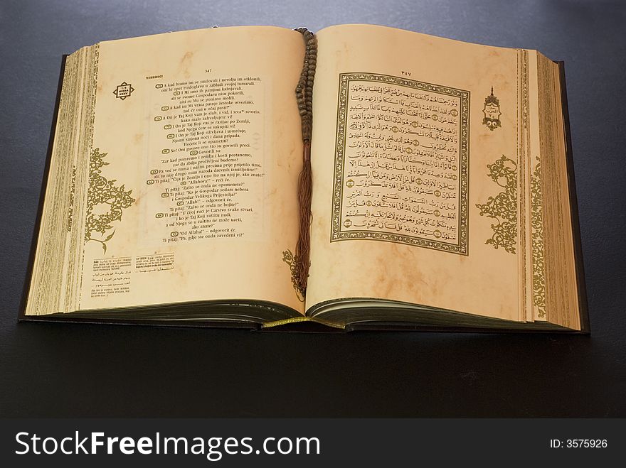 Close up of holly Koran. Close up of holly Koran