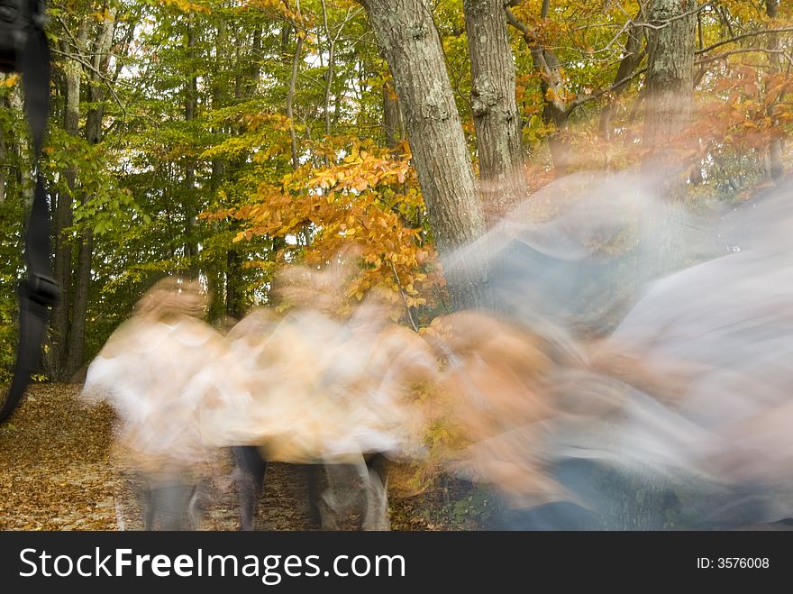 Cross country runners appear to float along a path at Borderland State Park in Easton, MA, USA. Cross country runners appear to float along a path at Borderland State Park in Easton, MA, USA