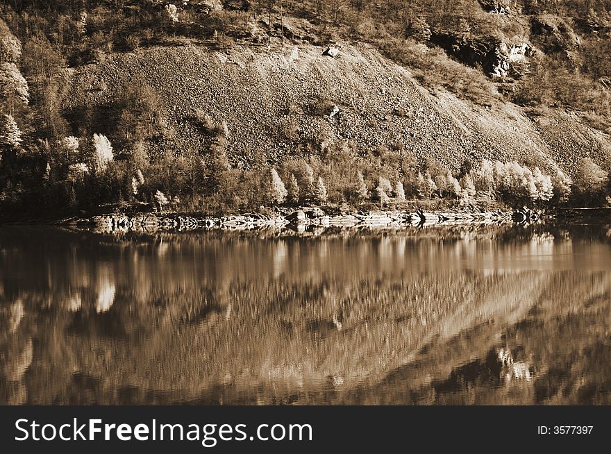 Reflection In Sepia