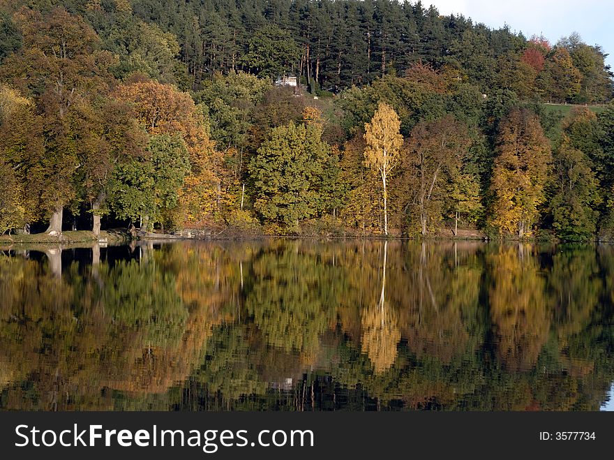 Autumn colour forest and reflex. Autumn colour forest and reflex