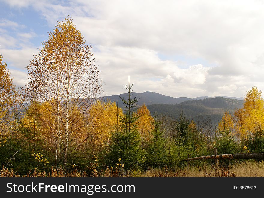 Late Autumn in Carpathian mountains