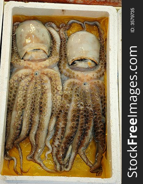 2 Octopus in a box in a seafood market. 2 Octopus in a box in a seafood market