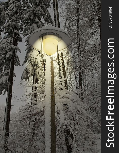 Light Street lamp in a forest during a snowy day. Light Street lamp in a forest during a snowy day