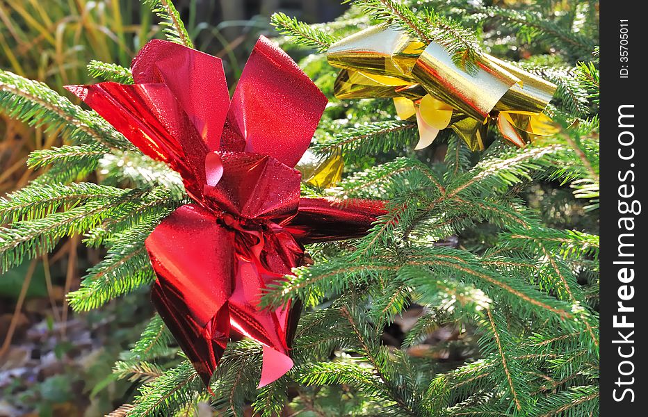 Red and gold nodes on a Christmas tree. Red and gold nodes on a Christmas tree