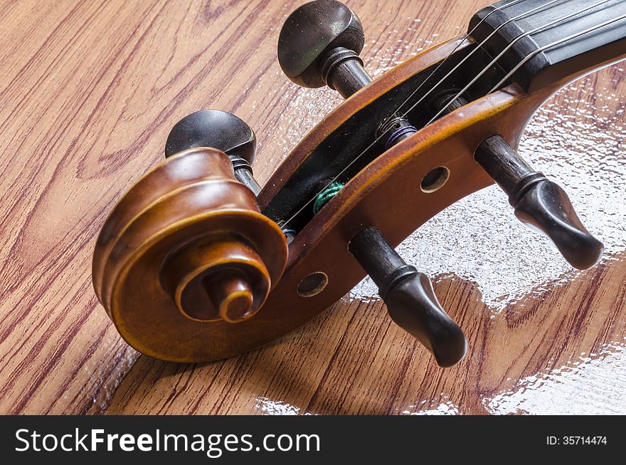 String instrument violin on wood background