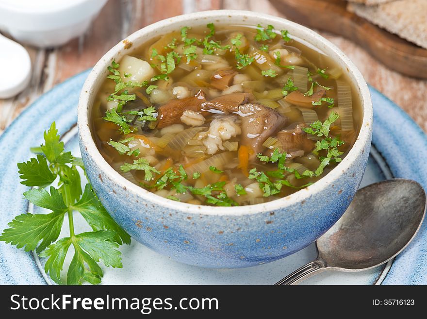 Mushroom Soup With Pearl Barley, Top View