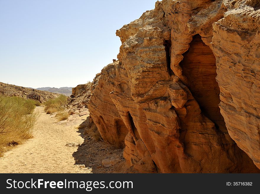 Small riverbed in Negev desert.