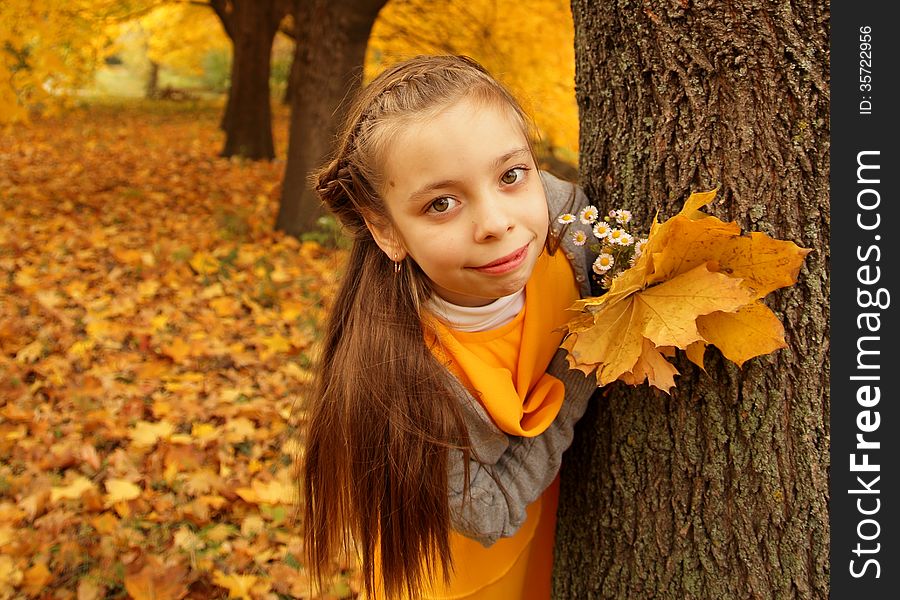 Pretty little girl peeking, hiding behind a tree and holding hands with a bunch of daisies and osennemi leaves on the background of the autumn landscape. Pretty little girl peeking, hiding behind a tree and holding hands with a bunch of daisies and osennemi leaves on the background of the autumn landscape
