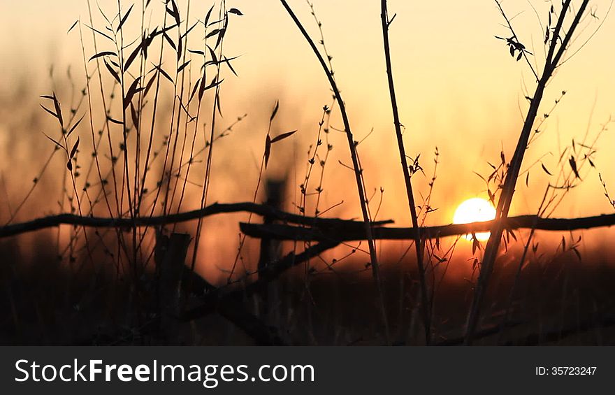 Video of sunset with rural fence and leaves wind blowing