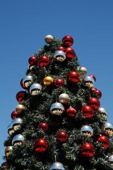 Christmas Tree Glinting Under Sunny African Sky Royalty Free Stock Image Christmas Tree Glinting Under Sunny African Sky Royalty Free Stock Image