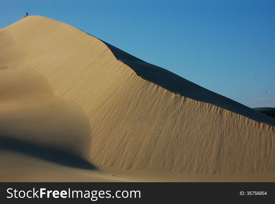 People dwarfed by high sand dune