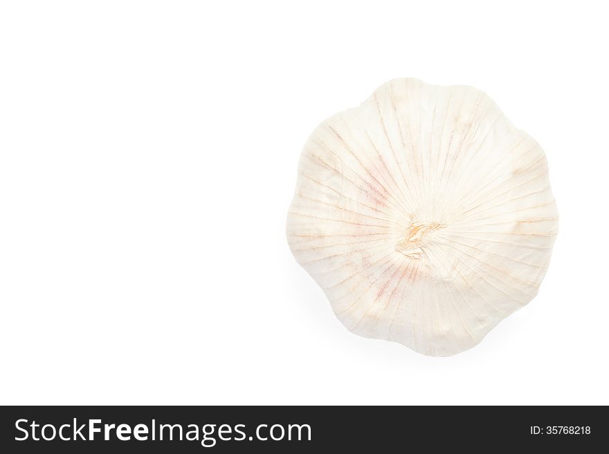 A garlic isolated on white