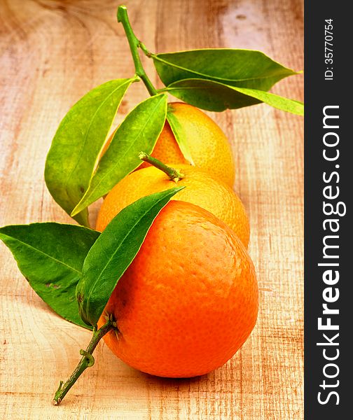 Three Fresh Ripe Tangerines with Stems and Leafs In a Row on Rustic Wooden background