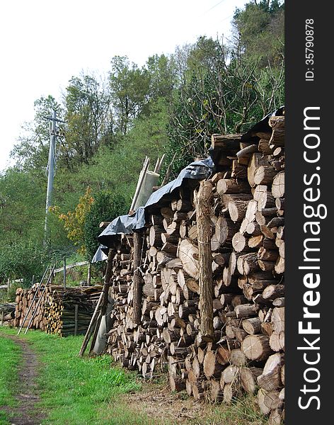 In the middle of nowhere an old fellow had his wood piled. In the middle of nowhere an old fellow had his wood piled.