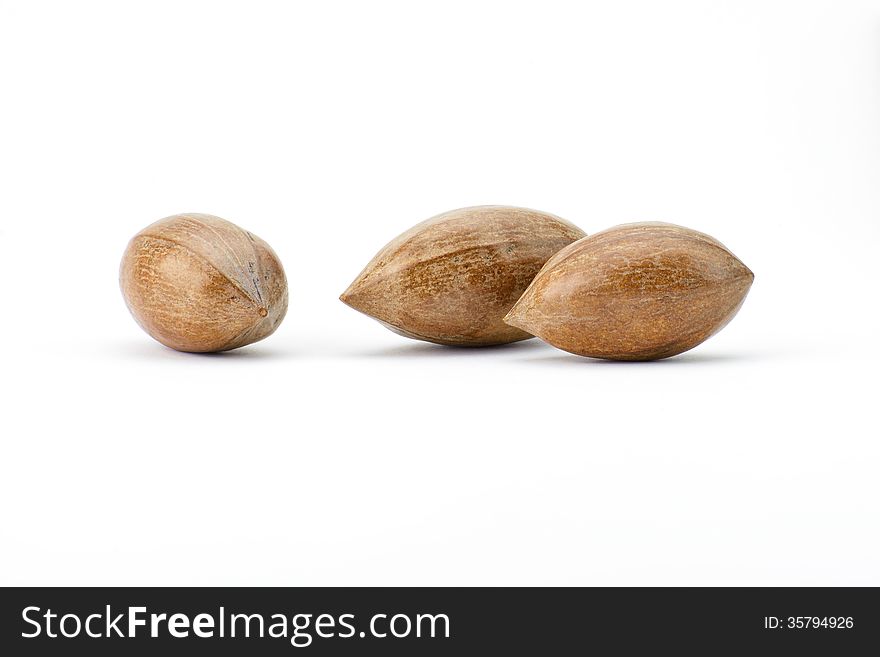 Pecan isolated on a white background. Pecan isolated on a white background