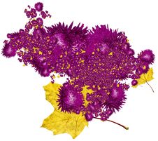 Abstract Violet Flowers Royalty Free Stock Photo Abstract Violet Flowers Royalty Free Stock Photo