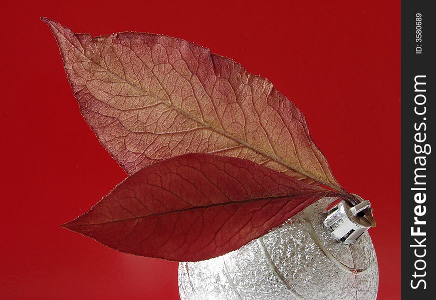 Christmas ornaments with bauble and dry autumnal foliage. Christmas ornaments with bauble and dry autumnal foliage