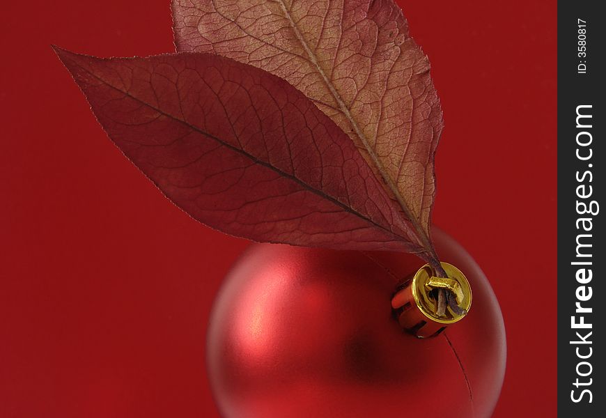 Christmas ornaments with bauble and dry autumnal foliage. Christmas ornaments with bauble and dry autumnal foliage