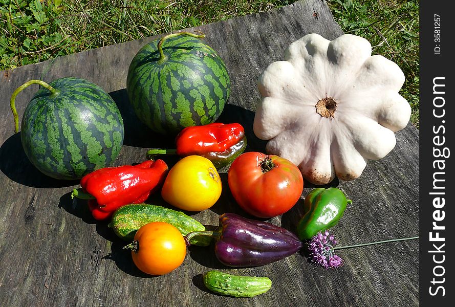 A close-up of the fresh different vegetables from garden. Russian Far East, Primorye. A close-up of the fresh different vegetables from garden. Russian Far East, Primorye.