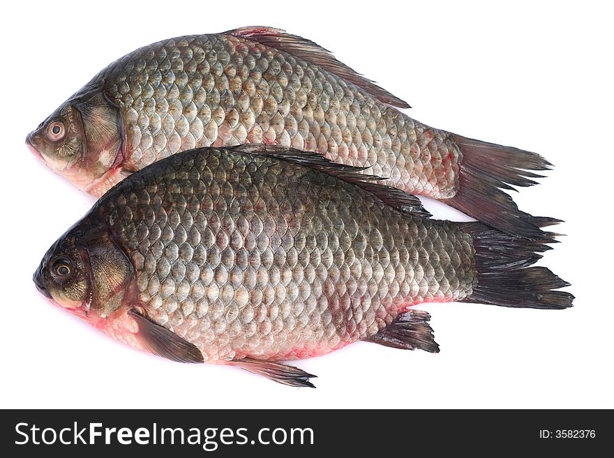 Carps. Image series of different food on white background