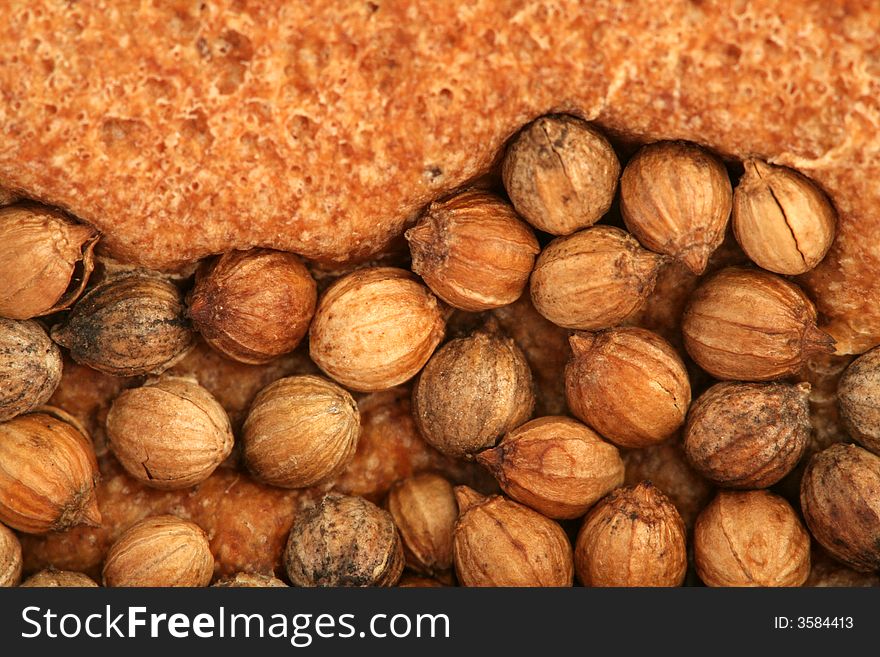 Crust of bread with seeds of a coriander, background