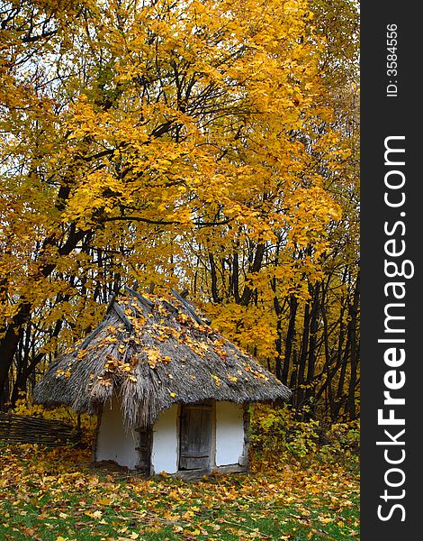 Little white cottage with a thatch roof in the autumn forest