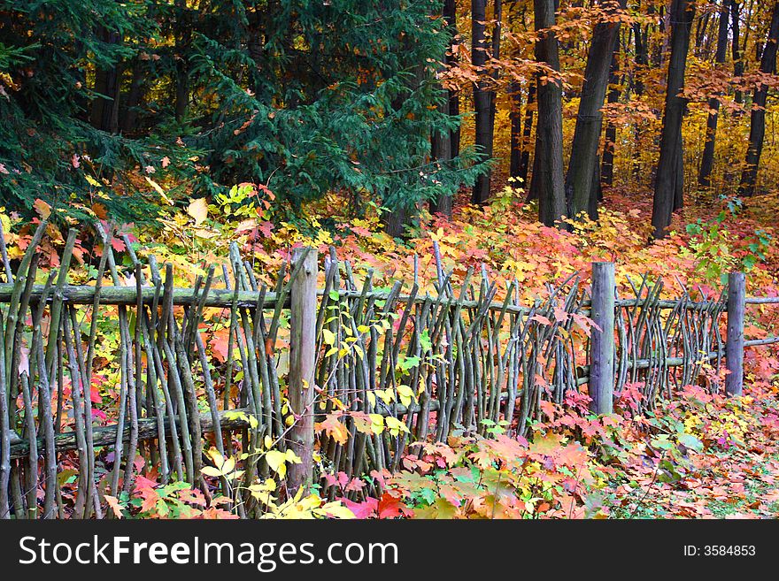 Wattle-fence in the autumn forest beautiful yellow orange and red leaves
