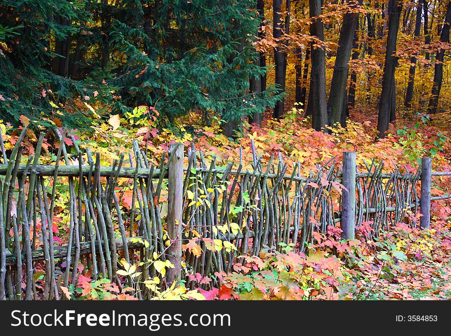 Wattle-fence