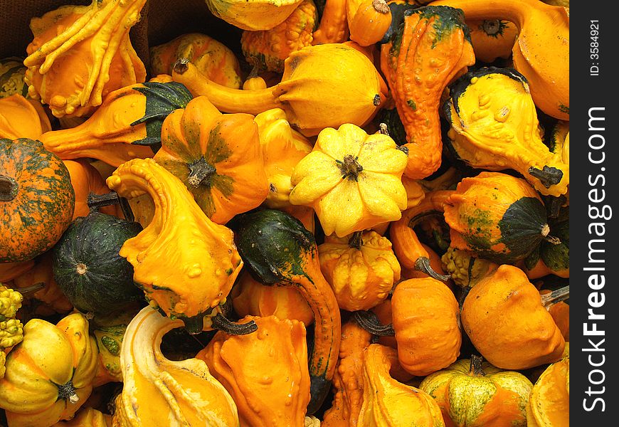 Many small gourds of various shapes all piled together. Many small gourds of various shapes all piled together.