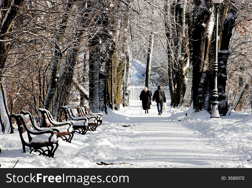 Red bench in a park covered with snow. Red bench in a park covered with snow