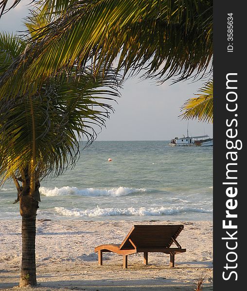 Sunlight seeps through the palm trees on a tropical beach. Sunlight seeps through the palm trees on a tropical beach