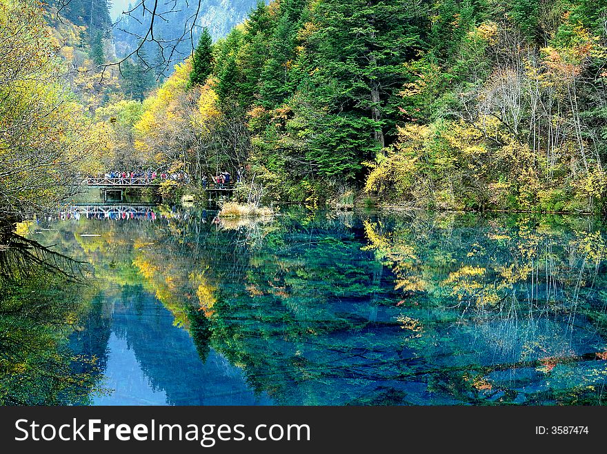 Autumn season with trees and lake water reflection. Autumn season with trees and lake water reflection