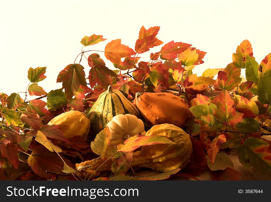 Autumn Leaves Arrangement