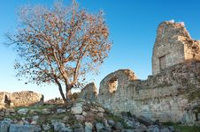 The Ruins Of The Ancient City Of In Chersonese Stock Images The Ruins Of The Ancient City Of In Chersonese Stock Images