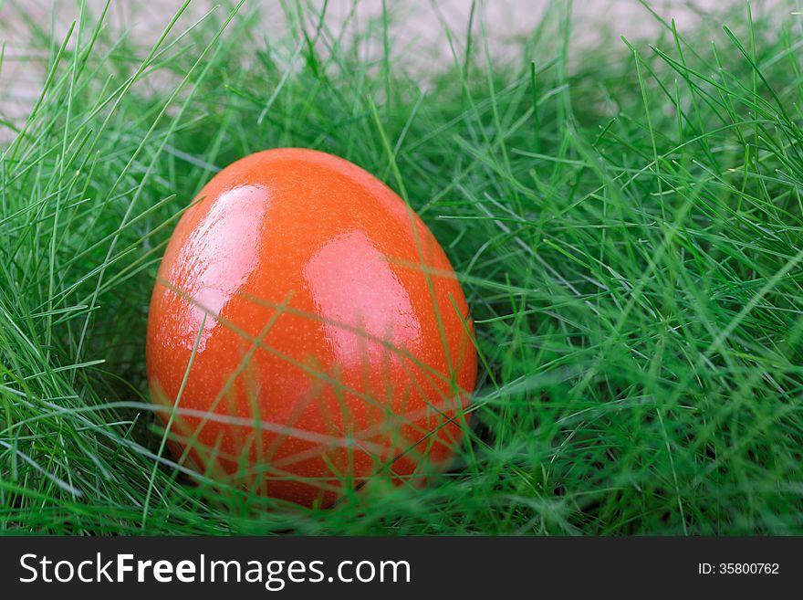 Orange Easter egg on green grass close-up shot