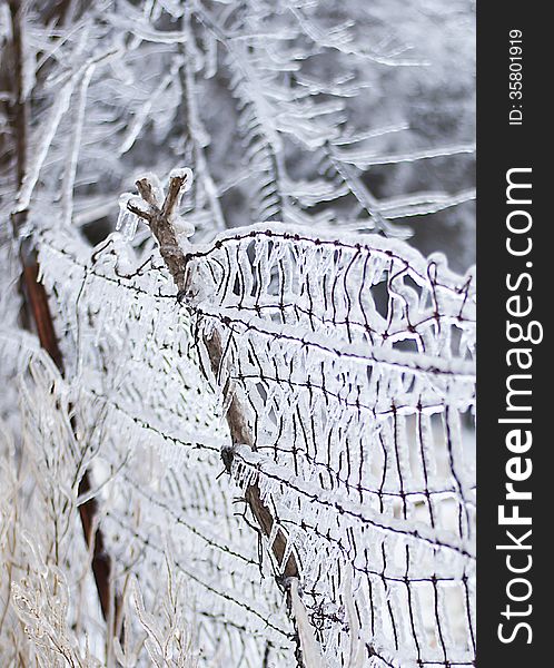 Dilapidated fence in winter scene, coated with icicles. Dilapidated fence in winter scene, coated with icicles
