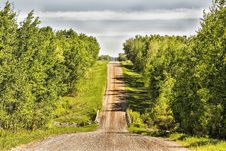 Landscape Of A Gravel Road Between A Forest Of Trees Royalty Free Stock Photos Landscape Of A Gravel Road Between A Forest Of Trees Royalty Free Stock Photos