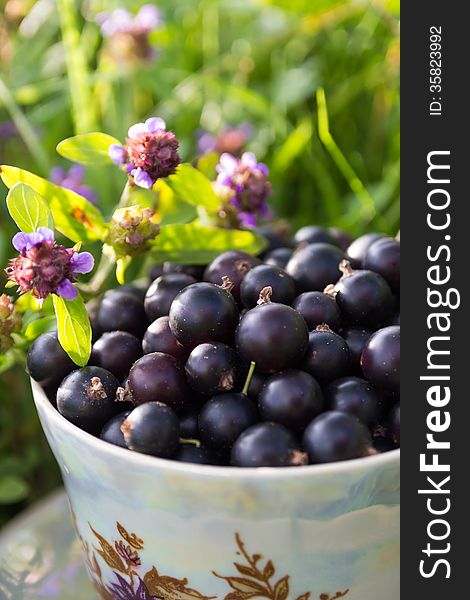 Blackcurrant in a cup