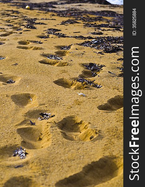 Footsteps in the sand, sandy beach Malta