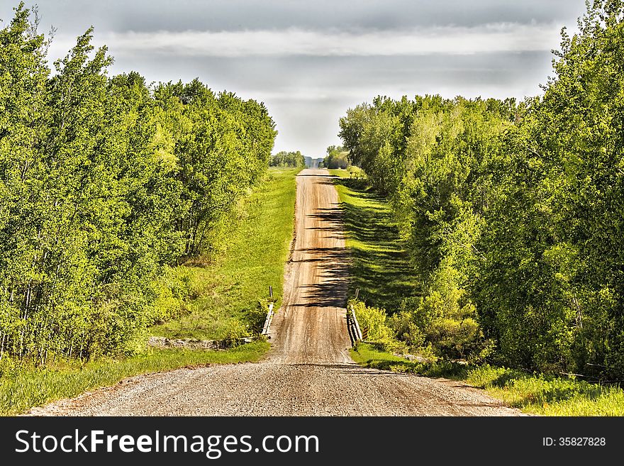 A hilly gravel road between lush green trees. A hilly gravel road between lush green trees
