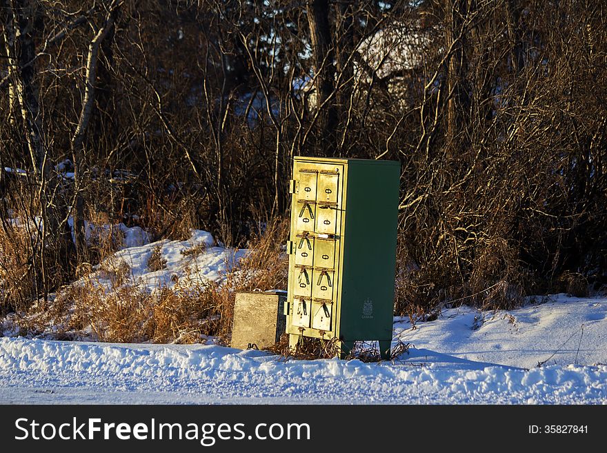 Green multi drawer mailbox in front of bare trees in the snow