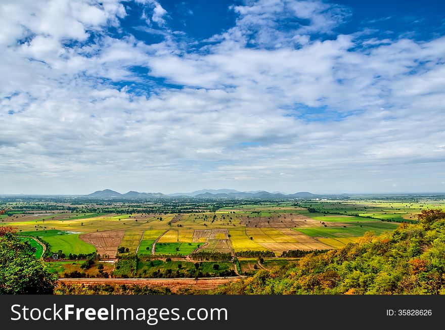 Beautiful View Of A Paddy Rice Fields