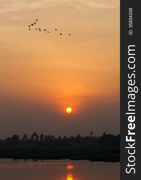 Sunset across the lake with reflection and flock of birds going home. Sunset across the lake with reflection and flock of birds going home