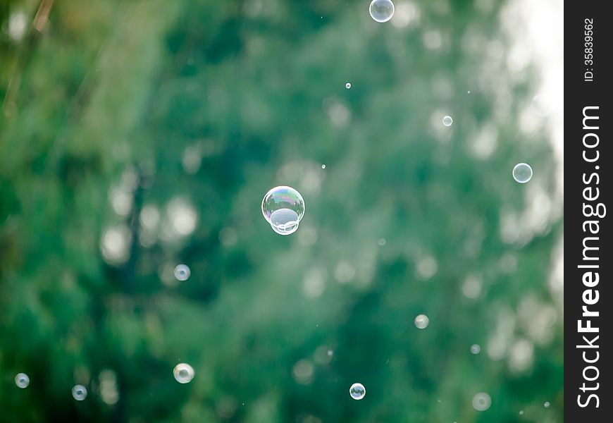 Soap bubbles in air on green natural background