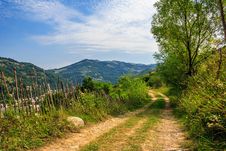 Mountain Road Near The Forest With Cloudy Sky Royalty Free Stock Images