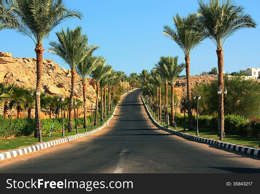 Road among trees in Sharm-El-Sheikh Egypt. Road among trees in Sharm-El-Sheikh Egypt